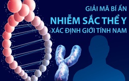 Giải mã bí ẩn nhiễm sắc thể Y xác định giới tính nam