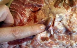Phần thịt lợn chứa đầy mầm bệnh dù rẻ cũng không nên mua