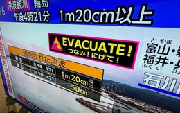 Động đất tại Nhật Bản: Chưa ghi nhận bất thường tại các nhà máy điện hạt nhân