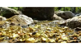 Xuất hiện “đá lạ lấp lánh màu vàng” mỗi khi mưa bão, một con suối bị phong tỏa, kho báu 400 năm tuổi được khai thác bằng công nghệ đặc biệt