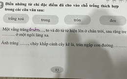 Câu văn nổi tiếng bỗng gây tranh cãi, phụ huynh nói: Ở nông thôn bao năm, chưa từng thấy cảnh như văn miêu tả