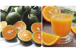 Uống nước cam nhiều có tốt không?