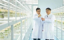 Trung Quốc trồng thử giống khoai tây do tàu Thần Châu-16 mang về từ không gian