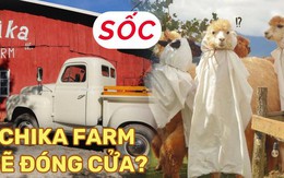 Chika Farm Đà Lạt bất ngờ thông báo đóng cửa dù đang đông khách, khiến dân tình vô cùng hoang mang