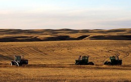 Nhà đầu tư Trung Quốc thâu tóm đất nông nghiệp ngay trên đất Mỹ