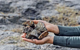 Giá loại “vàng trắng” giảm tới 80%, ngành công nghiệp mới vừa được đầu tư mạnh mẽ ở quốc gia này rơi cảnh “đu đỉnh”: Trung Quốc ngay lập tức hành động để củng cố vị thế