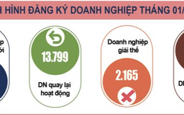 Có 13.500 doanh nghiệp thành lập mới trong tháng 1/2024