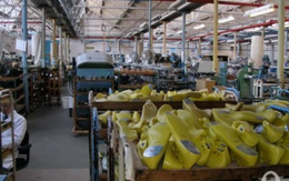 Kho báu này của Việt Nam tung hoành khắp 2/3 thế giới: Cạnh tranh với Trung Quốc vị trí đứng đầu thế giới, thu về hàng tỷ USD mỗi tháng