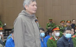 Cựu Thứ trưởng KH&CN khai nhận quà của Việt Á vì nghĩ là 'cành đào Tết'