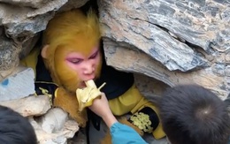 Việc nhẹ lương cao đóng vai Tôn Ngộ Không gây sốt tại Trung Quốc