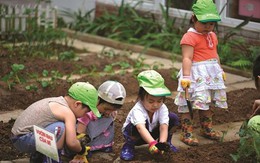 Mẹ dạy thì con khéo, cha dạy thì con khôn: Sớm rèn con 3 thói quen này, con lớn lên giỏi giang, linh hoạt trước mọi hoàn cảnh