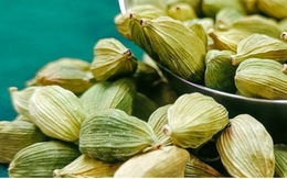 Việt Nam có “nữ hoàng gia vị” cực tốt cho sức khỏe, được cả thế giới săn lùng