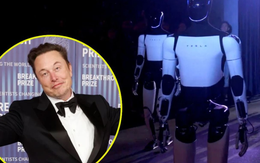 Elon Musk thách thức cả thế giới: Tuyên bố 'mọi người trên Trái Đất đều muốn sở hữu một chú Muskbot' khiến vốn hóa Tesla bốc hơi 70 tỷ USD