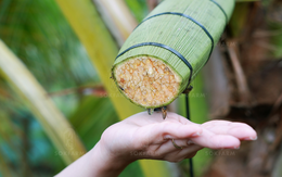 Những trái dừa "kỳ lạ" ở Trà Vinh và sự ra đời của loại đồ uống khiến khách Mỹ say mê