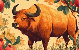 Tử vi tuần mới (7/10 - 13/10): 3 con giáp được Thần tài che chở ban phúc, công việc lẫn tình yêu đều viên mãn