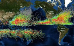 Hiệu ứng Coriolis: Vì sao các cơm bão không bao giờ vượt qua được đường xích đạo?