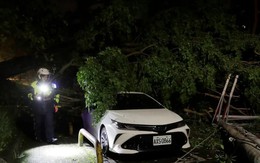 Trung Quốc nâng mức cảnh báo khi bão Kong-rey sắp đổ bộ