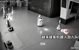 Robot nhỏ rủ rê 12 robot lớn 'bỏ việc' gây xôn xao Trung Quốc