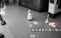 "Bạn không về nhà sao?": Video robot nhỏ "thao túng" 12 robot lớn nghỉ việc giữa đêm khiến dân mạng sửng sốt