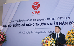 VPF báo cáo doanh thu dự kiến tăng 113% trong năm 2024