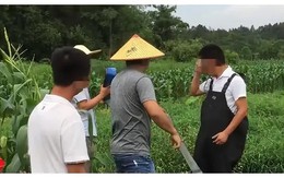 Cá trong ao “không cánh mà bay”, người đàn ông kiện hàng xóm lấy trộm nước: Tòa án phải đứng ra xử lý