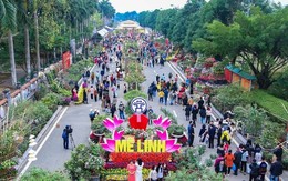 Festival hoa Mê Linh được tổ chức từ 26 đến 28-12