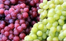 Cách phân biệt nho ta và nho Trung Quốc