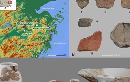 Phát hiện loại rượu lâu đời nhất thế giới ở Trung Quốc