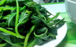 Loại rau người Việt từng cho gia súc ăn, hóa ra "bổ như sâm", được Trung Quốc coi là thuốc trường thọ