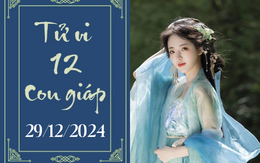 Tử vi 12 con giáp hôm nay ngày 29/12/2024: Tỵ phát triển, Ngọ khó khăn