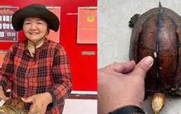 Nhặt được rùa quý hiếm ở cánh đồng