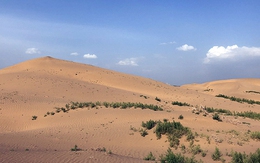 Trước cảnh 2 triệu km vuông bị cát nuốt chửng, Trung Quốc phát minh ‘tấm lưới’ khổng lồ giúp mang cây xanh phủ kín hoang mạc khiến thế giới nể phục