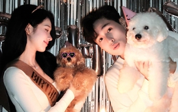 Bạn gái khóc nức nở sau khi trượt ngôi Hoa hậu, sao nam Vbiz nói 1 câu hút 4 triệu lượt xem!