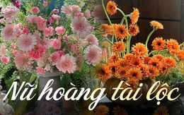 Loài hoa tài lộc này có nhiều cách cắm đẹp mà đơn giản, lưu ngay lại để Tết cắm 1 bình chưng ở phòng khách