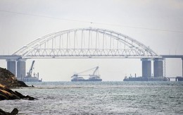 Nga nói đã ngăn chặn cuộc tấn công của Ukraine vào tàu chở hàng dân sự ở Biển Đen