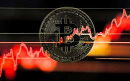 Khi nhiều nhà đầu tư đón Tết Nguyên đán, Bitcoin “lặng lẽ” tăng vượt mốc 50.000 USD, phá đỉnh hơn 2 năm