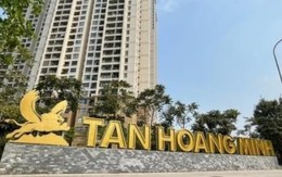 Nợ thuế, Tân Hoàng Minh không được làm thủ tục hải quan tại TP.HCM