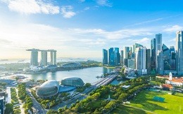 Thị trường Singapore đa dạng hàng hóa Việt Nam: Sản phẩm nào đang chiếm sóng tại Quốc đảo Sư Tử?