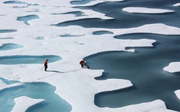 Tại sao băng trên biển được làm từ nước ngọt khi đại dương lại toàn là nước mặn?