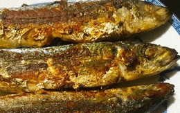 1 loại cá vừa giúp hạ đường huyết, vừa "giàu chất sắt", bổ máu hơn thịt bò: Rất sẵn ở Việt Nam
