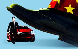 Elon Musk đã biết sợ ô tô Trung Quốc chưa?