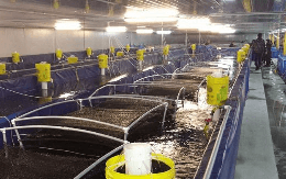 Trung Quốc bất ngờ tăng nhập khẩu gấp 3 lần mặt hàng này của Việt Nam: Nước ta là 'ông trùm' đứng thứ 2 thế giới, hơn 100 quốc gia đặt gạch mua hàng