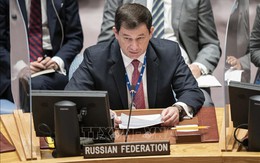 Nga đề nghị HĐBA LHQ họp khẩn về cuộc tấn công của Mỹ ở Iraq và Syria