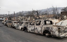 Cháy rừng tàn phá các thành phố Chile, cảnh tưởng như đang ở địa ngục