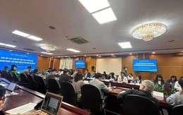 Căng thẳng Biển Đỏ: Cục XNK đưa giải pháp ‘thoát hiểm’ cho doanh nghiệp Việt