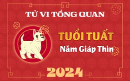 Tử vi tổng quan tuổi Tuất năm Giáp Thìn 2024: Sự nghiệp lên hương, tiền bạc dư dả nhưng cần lưu ý 1 điều