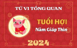 Tử vi tổng quan tuổi Hợi năm Giáp Thìn 2024: Tài lộc thịnh vượng, tình duyên viên mãn