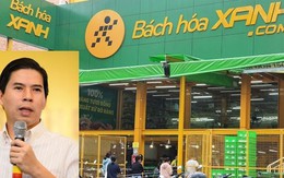 Bách Hóa Xanh làm thế nào để có lãi trong năm nay?