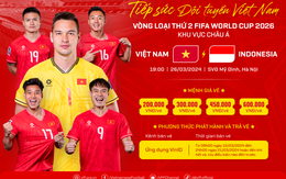 Vé trận Việt Nam vs Indonesia cao nhất 600.000 đồng