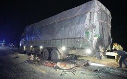 Khởi tố vụ án, điều tra nguyên nhân vụ tai nạn giao thông trên cao tốc Cam Lộ - La Sơn
